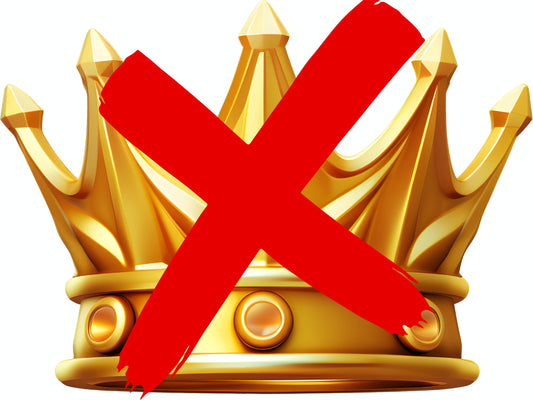 24x18 “No Kings” Protest INDIVIDUAL Yard Signs – Stand Loud. Stand Proud